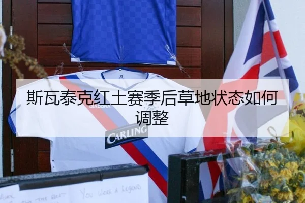 斯瓦泰克红土赛季后草地状态如何调整